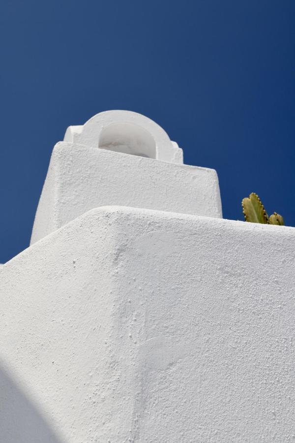 Aidos Villa Santorini メガロホリ エクステリア 写真